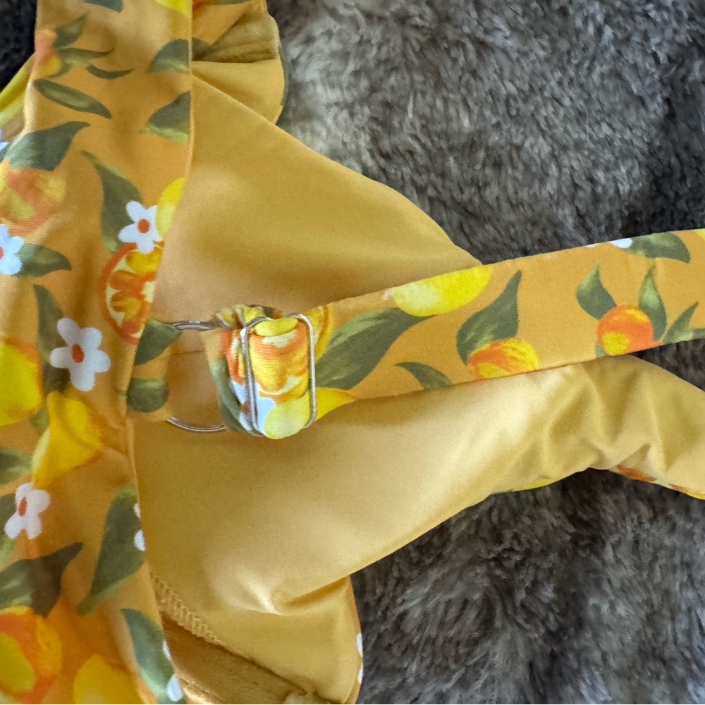 ❤️ SOLD ON CURTSY ❤️Dippin Daisys Bikini Set - Picture 10 of 12